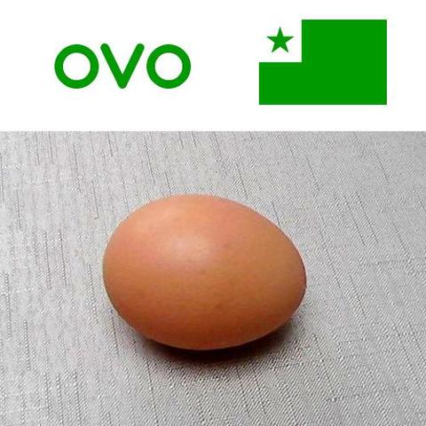 ovo
