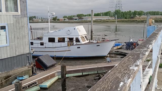 Boats and floating docks are in a few inches of water at best, some just sitting on the mud