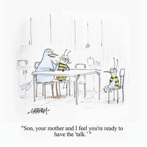 A cartoon illustration of a father bird and mother bee sitting down to talk to their mixed bird-bee child. Caption reads "Son, your mother and I feel you're ready to have the 'talk'."
