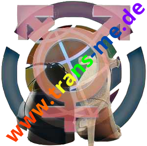 Unser Logo der Webseite ein Trans* Symbol über einem klassischen Männlichen und einem Weiblichen Schuh mit hohem Absatz gelegt. Dahinter scheint noch ein Bunter eingefasster Globus durch. Schräg über dem Bild liegt unsere Webadresse: www.trans-me.de in Regenbogenfarben. :)