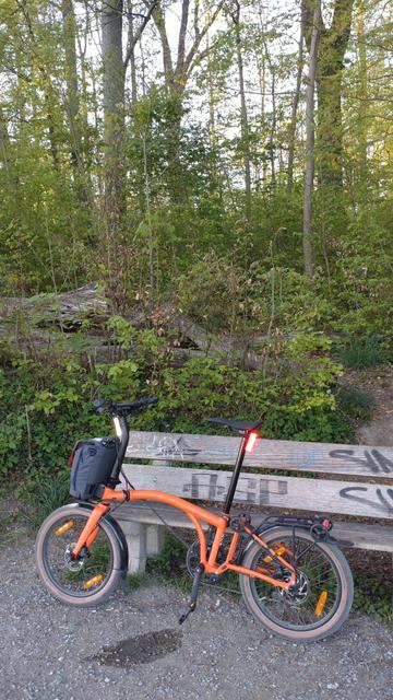 Ein orangenes Brompton Electric G-Line lehnt vor einem lichten Laubwald an einer Holzbank.
