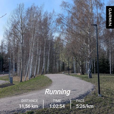 Keväinen ulkoilureitti, jota reunustaa koivut. Juoksutilastot: matka 11,56 km, kesto 1h 2min 54sek, keskitahti 5:26 min/km.