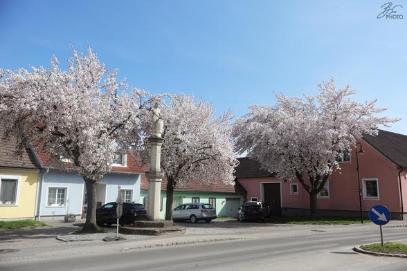 Guardian of Blossoms – Statue in Bloom