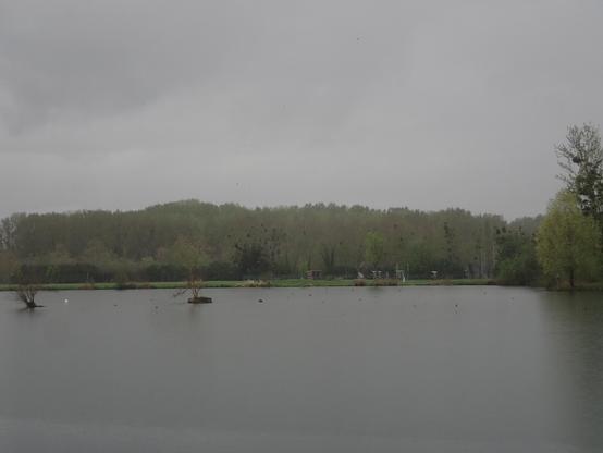 Un étang sous la pluie
