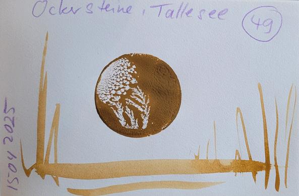 Farbprobe auf Papier, ein runder Pistillabdruck in rehbrauner Wasserfarbe, daneben und darunter lockere Pinselstriche der verdünnten Farbe,  die goldbraun leuchtet.
