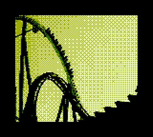 A roller coaster train going down a very steep downward track