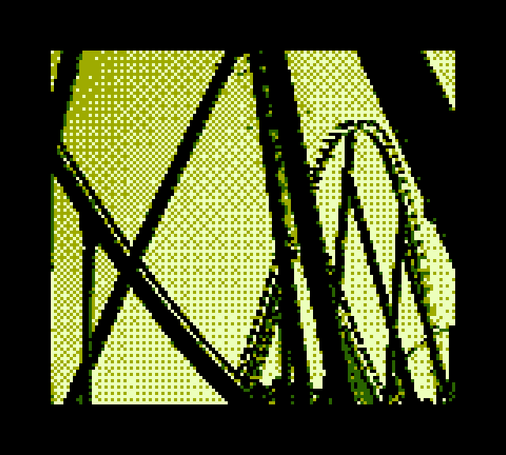 Mesh of tubes and metal supporting roller coasters
