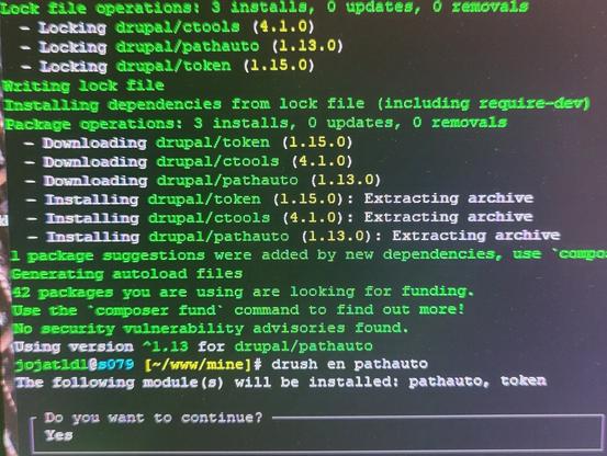 Screenshot of a shell input. Fresh drupal install, setting up modules via composer and drush