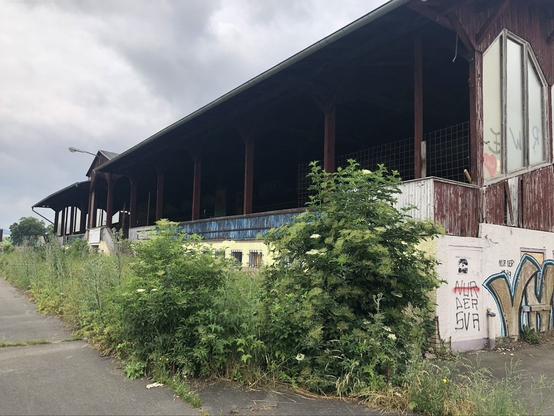 Die verfallene Holzkonstuktion der Tribüne auf der Spielfeldseite. Davor wächst wild das Unkraut.