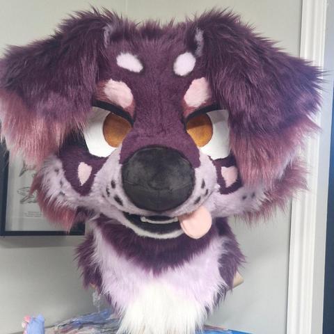 Purple puppy with orange eyes