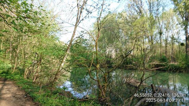 Le Clain dans son écrin arboré, au printemps à quelques km au sud de Poitiers.