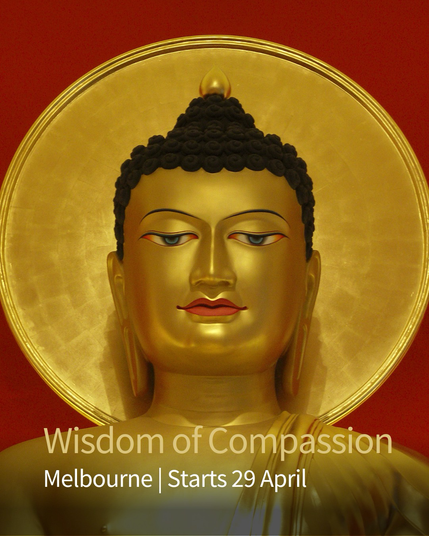 Wisdom of Compassion