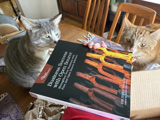 I’m holding out a copy of the book while a grey cat and an orange cat each sniff a corner of it. The book is more than twice as thick as my first one!