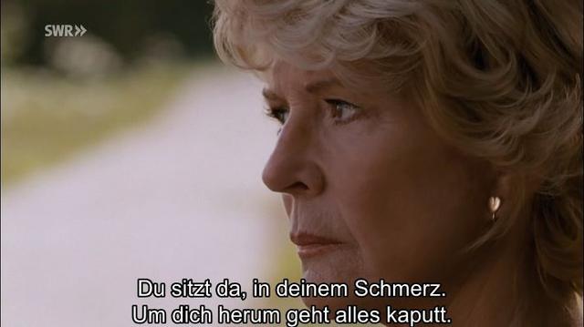 Description: The image shows a woman with blonde hair and a quote on it that reads, "Du sitzt da, in deinem schmerz um dich herum geht alles kaputt." The background is blurred, giving the image a dreamy, ethereal feel.

Disclaimer: This image description was automatically generated and may not be entirely accurate.