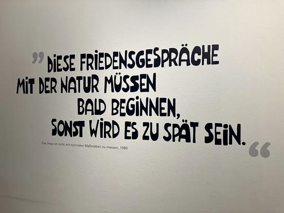 Zitat Hundertwasser
