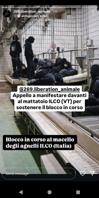 269 Liberation Animale: appello a manifestare davanti al mattatoio ILCO (VT) per sostenere il blocco in corso del macello degli agnelli.