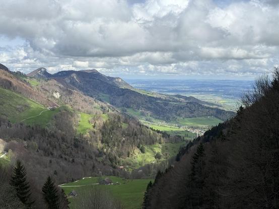 Oben fluffig hellgraue Wolken, darunter links ein Berg mit Wald und Wiesen, rechts der Blick ins Tal, im Vordergrund Bäume auf einem Berg
Above fluffy light gray clouds, below on the left a mountain with forest and meadows, on the right the view into the valley, in the foreground trees on a mountain
