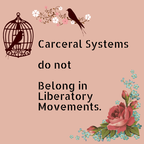 Pink square with birds and flowers in the corners. Stencil font black text reads, "Carceral Systems do not Belong in Liberatory Movements."