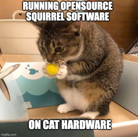 Photo of a cat nibbling on something in a stance like a squirrel, sitting on hind legs while supporting the food with front legs 

Caption:
RUNNING OPENSOURCE SQUIRREL SOFTWARE ON CAT HARDWARE