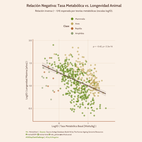 Scatter plot log-log mostrando la relación entre Longevidad Máxima (años, eje Y) y Tasa Metabólica Basal Específica (Watts/kg, eje X) para 534 especies animales (outliers eliminados). Los puntos están coloreados por Clase taxonómica (Mammalia, Aves, Reptilia, Amphibia). Una línea de regresión lineal de color marrón oscuro con intervalo de confianza gris muestra una clara tendencia negativa. El coeficiente de correlación de Pearson (rho = -0.42, p < 2.2e-16) se muestra en la esquina superior derecha. El gráfico utiliza un tema con fondo beige claro y textos en marrón. Fuente: AnAge Database.