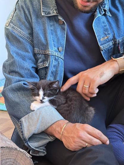 My husband petting one of the two black and white kittens we’re adopting who fell asleep on his lap