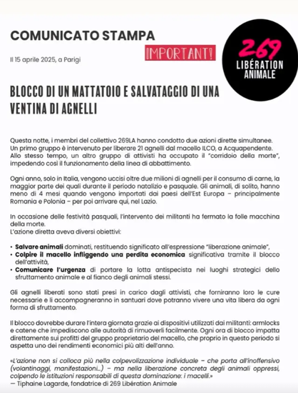 Comunicato stampa del collettivo 269 Libération Animale relativo al blocco di un mattatoio e al salvataggio di una ventina di agnelli.