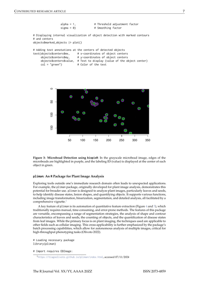 Shows sample page from our review (draft) Exploring Image Analysis in R: Applications and Advancements