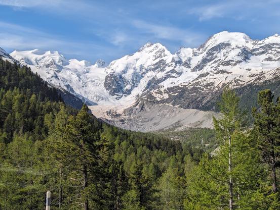 View over an empty glacial U valley. The glacier has receded long ago, enough for the trees to start growing in the old ice bed. It now only shows in the end of the valley, where it is still connected to the fresh snow from Alpine peaks. It is early June, the trees are green, the Alps still fully covered with snow.
