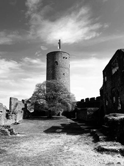 Schwarzweißaufnahme des Innenhofs der Burg Münzenberg mit einem mächtigen Rundturm und einem ausladenden Baum im Vordergrund, eingerahmt von hohen Mauern. Die Szene ist durchzogen von Licht und Schatten und strahlt eine ruhige, zeitlose Atmosphäre aus – als hätte der Moment selbst den Atem angehalten.