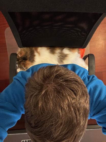 Image of man and cat sitting in a computer chair. The cat is laying behind the man, and the man is sitting on the very edge of the chair because the cat won’t move.