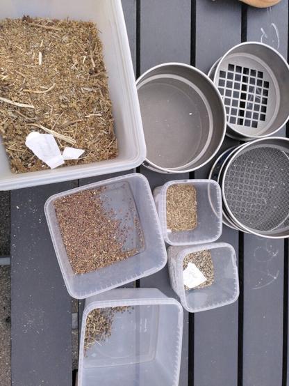 Kondibøtter med radise, rødbede, amarant, gulerod og sigter med forskellige masker på bord