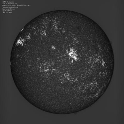 An image of the sun in the Calcium H band. A large active area is visible in the center, and a new one is coming from the eastern (left) limb.