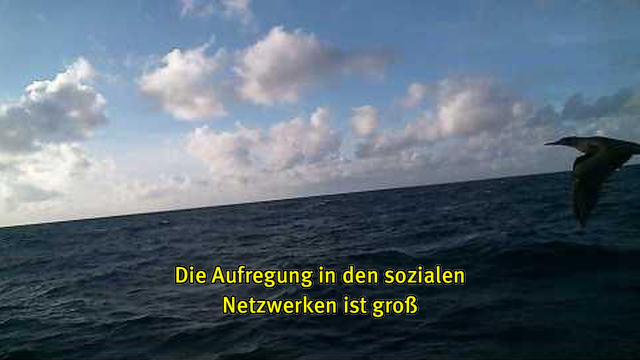 Webcam-Foto vom Meer, untertitelt mit gelber Schrift: "Die Aufregung in den sozialen Netzwerken ist groß"
