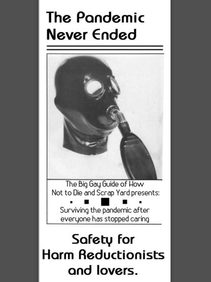 Screenshot of the front page of a tri-fold brochure. The brochure features a image of a head wearing a vintage gas mask and goggles, and has the text:

The Pandemic Never Ended

The Big Gay Guide of How Not to Die and Scrap Yard presents:

Surviving the pandemic after everyone has stopped caring

Safety for Harm Reductionists and lovers.