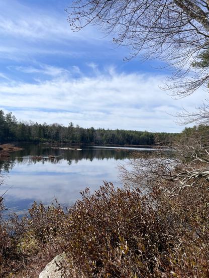 Looking out over a very large bog that transitions into a pond. Plants in the foreground lower corner are a dry maroon color and seem quite content in direct sun. Toward the middle of the photo the pond is reflecting a bright blue sky with ample white clouds. Directly in the middle, between sky and water are a telling of trees, mostly hemlock and pine.