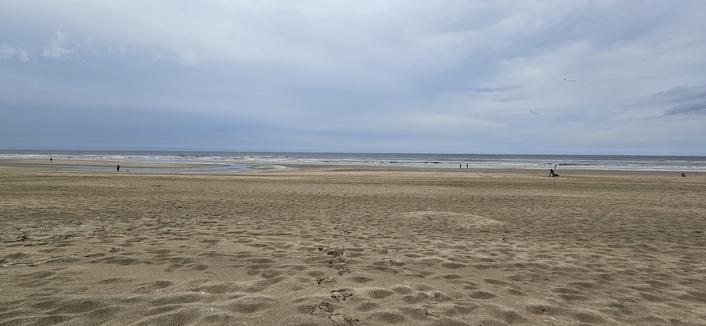 Meer