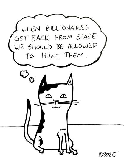 a black and white cat sits and thinks "when billionaires get back from space we should be allowed to hunt them."