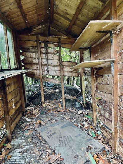 The interior of a garden shed. There are holes in the wall where the wood has decayed. A couple of shelves are hanging precariously on the right wall. There are leaves strewn across the floor.