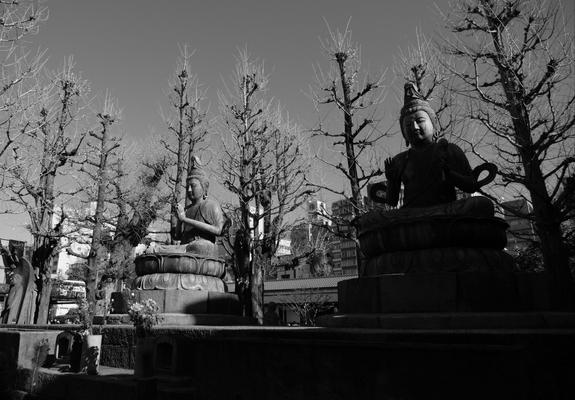 Two buddhist statues with a row of bare decorative trees behind them.