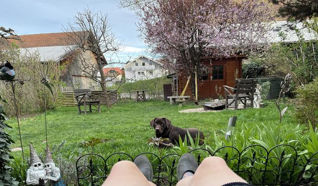 Blick auf einen Garten, menschliche Füße, ein brauner Labrador liegt im Gras und blickt in die Kamera. Links ein Zombie-Gartenzwerge-Liebespaar, im Hintergrund Gartenmöbel und weitere Häuser
