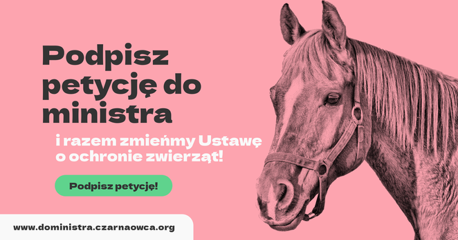 Na różowym tle głowa konia, w towarzystwie napisu: Podpisz petycję do ministra i razem zmieńmy Ustawę o ochronie zwierząt!