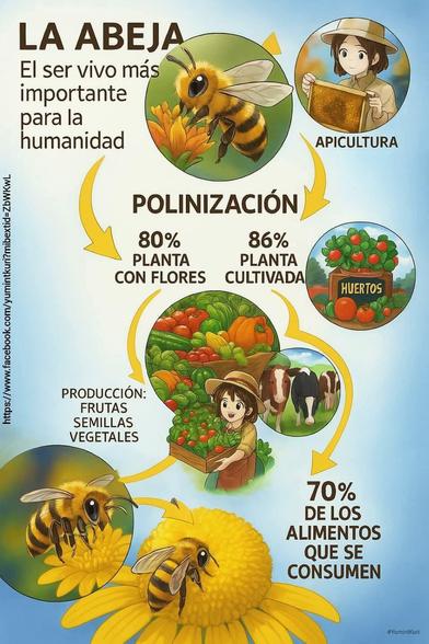 Polinización