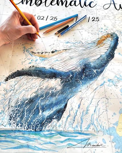 Baleine à bosse qui saute peinte à l'aquarelle sur une carte marine de l'Antarctique.