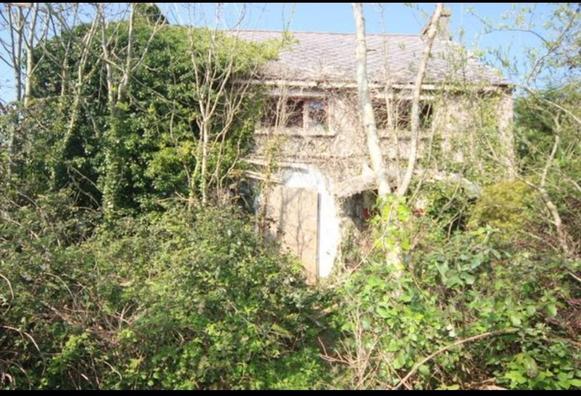 A house with a tree in it.