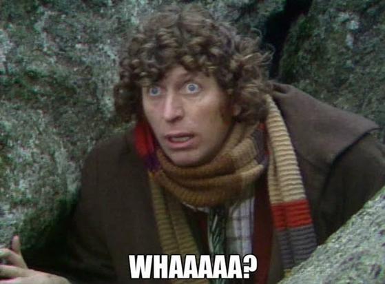 The Fifth Doctor, from Doctor Who, looking surprised with a caption of "Whaaaaa!?"