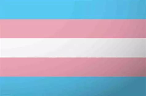the trans flag