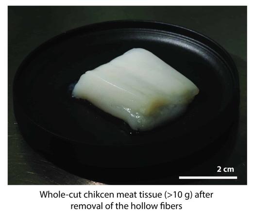 lab grown chicken in a pan
