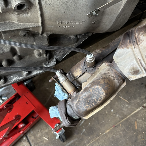Two new oxygen sensors emerge from the exhaust manifolds of my BMW M54B30 inline six-cylinder engine, just below the catalytic converters.