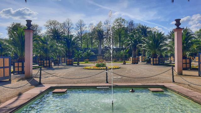 Im Palmengarten Bad Pyrmont. Im Vordergrund ein Springbrunnen, in dem gerade eine Ente badet. Dahinder mehrere Palmen unter einem blauen Himmel mit einigen Wolken.