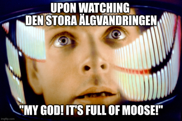 Dave Bowman from 2001: A Space Odyssey.

Top caption: Upon watching Den stora älgvandringen.

Bottom caption: "My God! It's full of moose!"